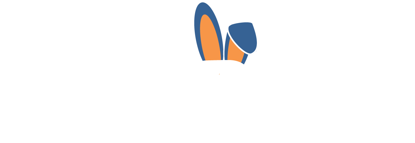 Insight Rabbit